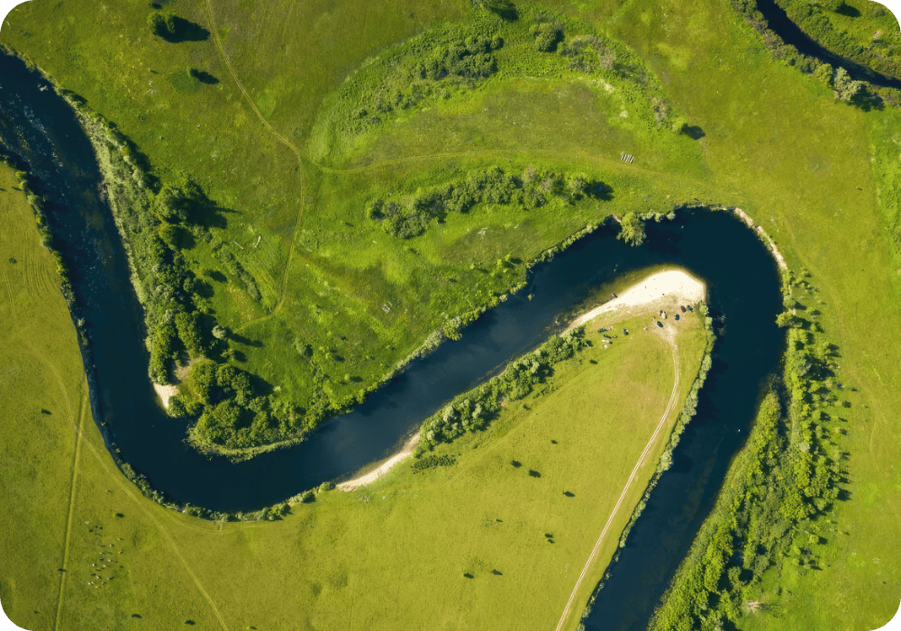 Vision-web Vision-web